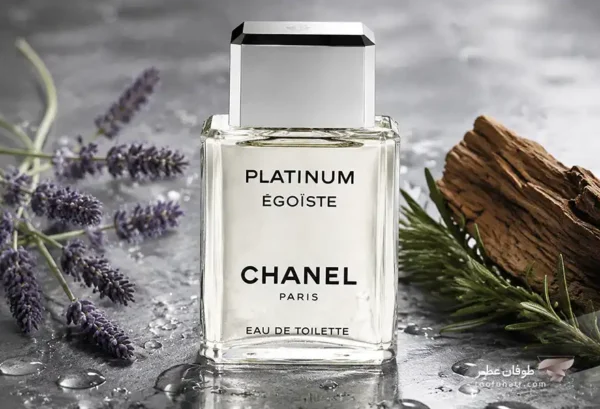 Chanel Egoiste Platinum