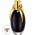 لیدی گاگا فیم - Lady Gaga Fame