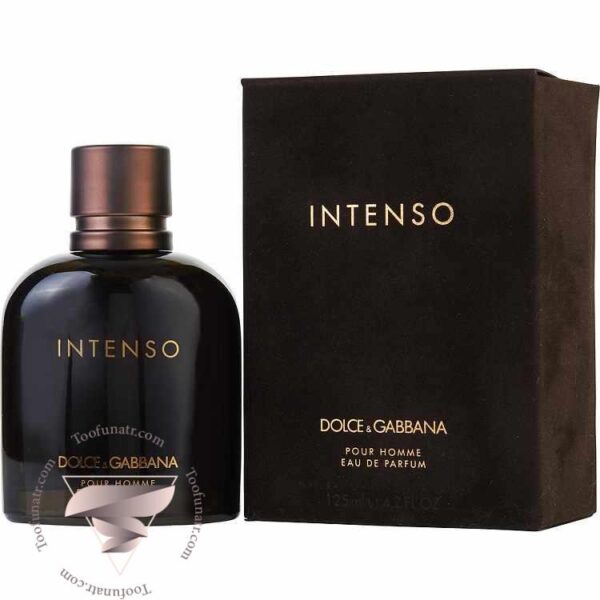 دولچه گابانا پور هوم اینتنسو - Dolce Gabbana Pour Homme Intenso