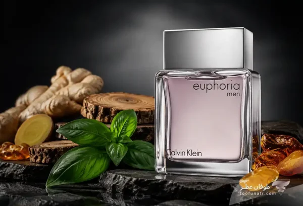 Calvin Klein Euphoria Men
