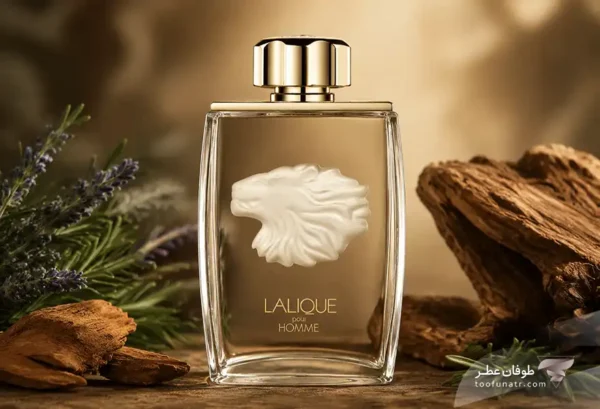 Lalique Pour Homme