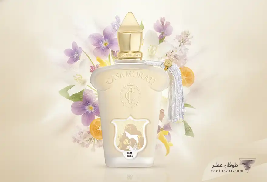 خرید تستر اصل زرجوف کازاموراتی داما بیانکا - Xerjoff Casamorati Dama Bianca EDP Tester