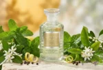 خرید عطر اورجینال کرید سلکشن ورت - Creed Selection Verte