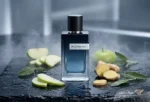 خرید عطر ایو سن لورن وای ادو پرفیوم - Yves Saint Laurent Y EDP