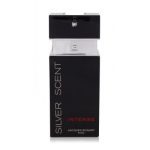 جکس بوگارت سیلور سنت اینتنس - Jacques Bogart Silver Scent Intense