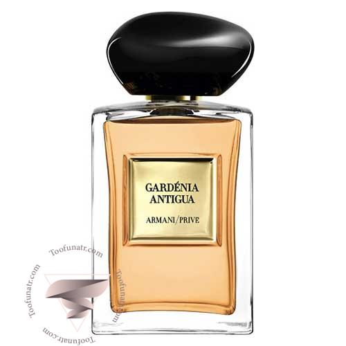 عطر ادکلن جورجیو آرمانی گاردنیا آنتیگوا - Giorgio Armani Gardénia Antigua عطر ادکلن جورجیو آرمانی گاردنیا آنتیگوا - Giorgio Armani Gardénia Antigua