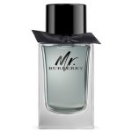 باربری مستر باربری - Burberry Mr. Burberry