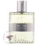 عطر ادکلن دیور او ساواج ادو تویلت - Dior Eau Sauvage