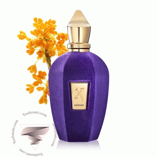 عطر ادکلن زرجف سوپرانو - Xerjoff Soprano عطر ادکلن زرجف سوپرانو - Xerjoff Soprano