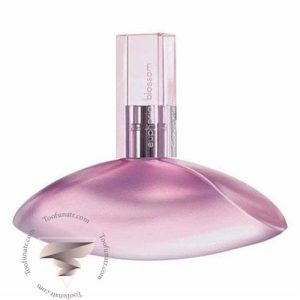 عطر ادکلن سی کی ایفوریا بلوسوم - CK Euphoria Blossom