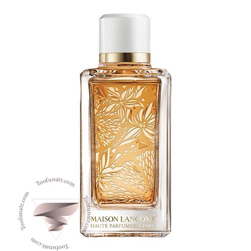 لانکوم اورنجز بیگرادس - Lancome Oranges Bigarades لانکوم اورنجز بیگرادس - Lancome Oranges Bigarades