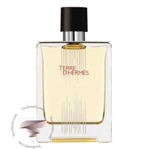 عطر ادکلن هرمس تق هرمس فلاکون اچ 2021 ادوتویلت - Hermes Terre d’Hermes Flacon H 2021 EDT
