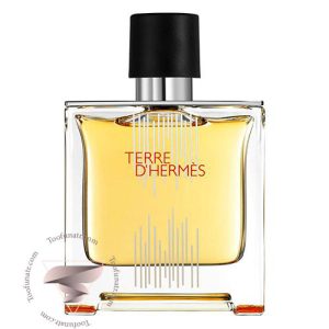 عطر ادکلن هرمس تق هرمس فلاکون اچ 2021 پارفوم - Hermes Terre d’Hermes Flacon H 2021 Parfum