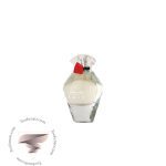 اوریفلیم لوسیا جانوین جکوینز لوسی - Oriflame Lucia Johnwin Jackwins Lucy