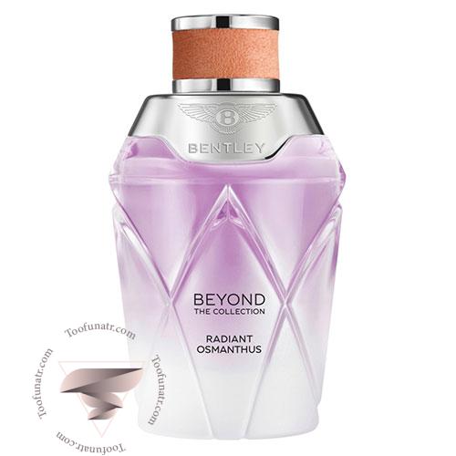 بنتلی رادیانت اوسمانتوس - Bentley Radiant Osmanthus بنتلی رادیانت اوسمانتوس - Bentley Radiant Osmanthus