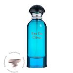 هرمس ادو سیترون نویر فراگرنس ورد او د سیتروس - Hermes Eau de Citron Noir Fragrance World Eau De Citrus
