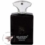 آمواج (آمواژ) ممویر من مردانه برندینی - Amouage Memoir Man Brandini