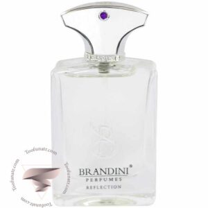 آمواج (آمواژ) رفلکشن من مردانه برندینی - Amouage Reflection Man Brandini