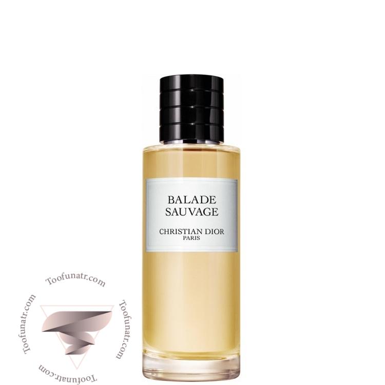 دیور بلید ساوج (ساواج) 1 دیور بلید ساوج (ساواج) - Image 1