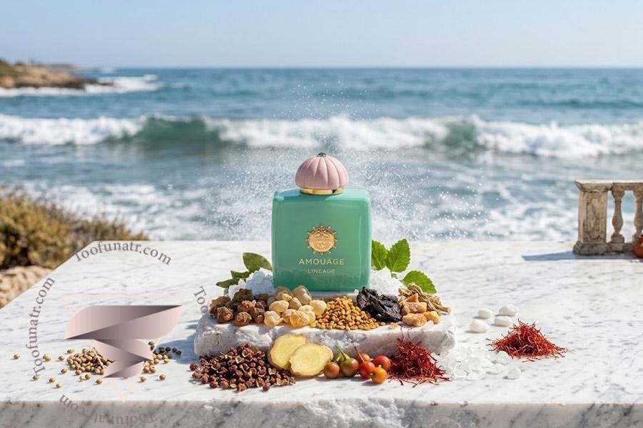 نمای نزدیک عطر آمواج Lineage با درپوش صورتی و چیدمان مواد بویایی طبیعی