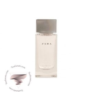 زارا سانرایز رز - Zara Sunrise Rose