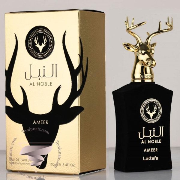لطافه النبل عامر - Image 2