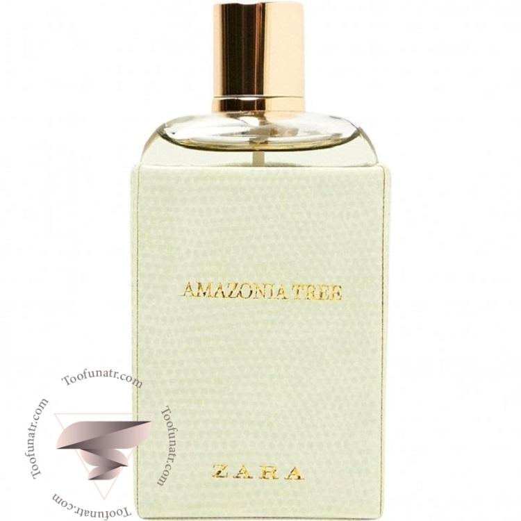 زارا آمازونیا تری - Zara Amazonia Tree زارا آمازونیا تری - Zara Amazonia Tree