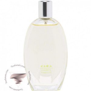 زارا پودری مگنولیا 2014 - Zara Powdery Magnolia 2014