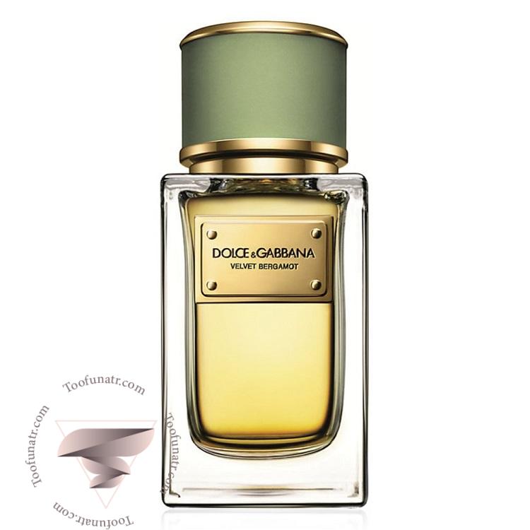 دی اند جی دولچه گابانا ولوت برگامونت - Dolce & Gabbana Velvet Bergamot دی اند جی دولچه گابانا ولوت برگامونت - Dolce & Gabbana Velvet Bergamot