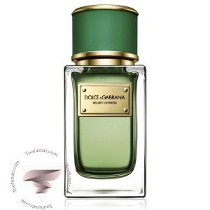 دی اند جی دولچه گابانا ولوت سایپرس - Dolce & Gabbana Velvet Cypress