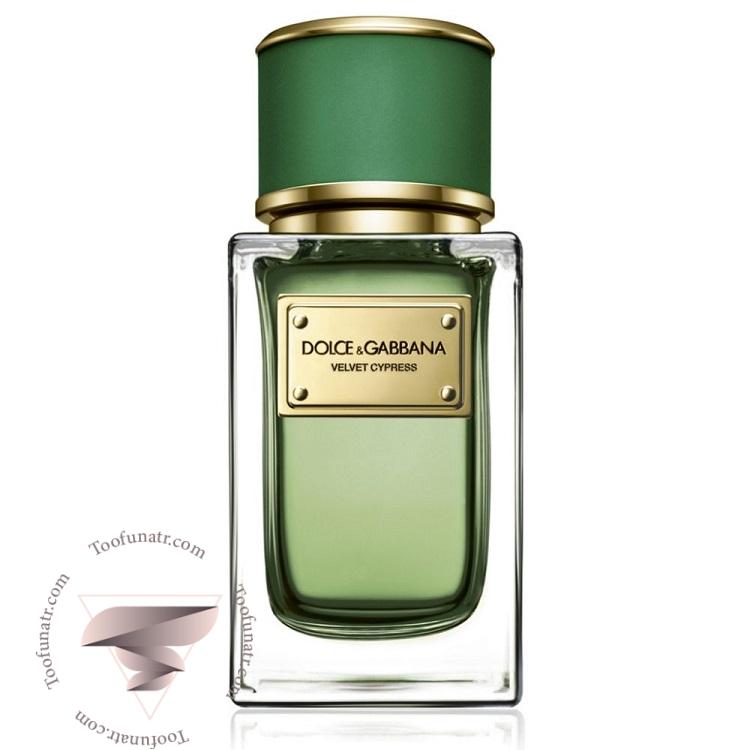 دی اند جی دولچه گابانا ولوت سایپرس - Dolce & Gabbana Velvet Cypress دی اند جی دولچه گابانا ولوت سایپرس - Dolce & Gabbana Velvet Cypress