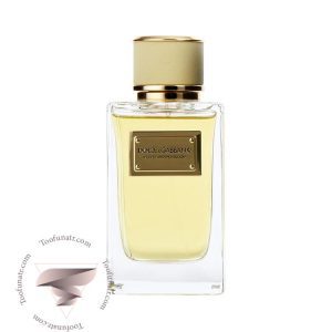 دی اند جی دولچه گابانا ولوت میموسا بلوم - Dolce & Gabbana Velvet Mimosa Bloom