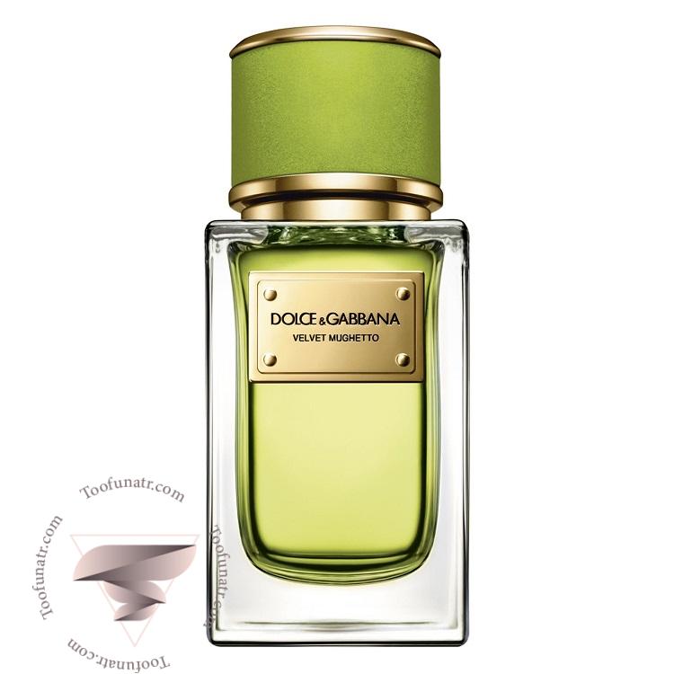دی اند جی دولچه گابانا ولوت موگتو - Dolce & Gabbana Velvet Mughetto دی اند جی دولچه گابانا ولوت موگتو - Dolce & Gabbana Velvet Mughetto