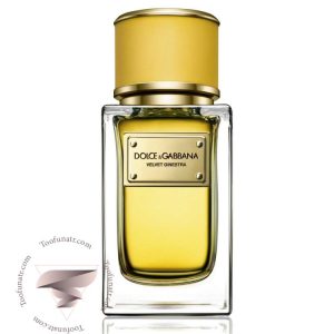 دی اند جی دولچه گابانا ولوت گینسترا - Dolce & Gabbana Velvet Ginestra