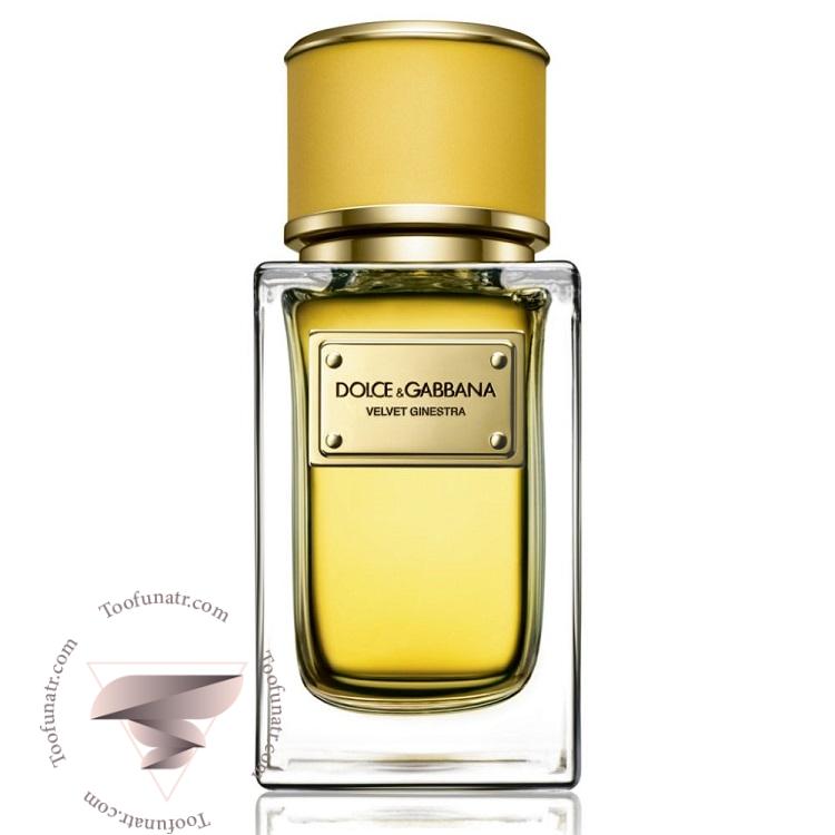 دی اند جی دولچه گابانا ولوت گینسترا - Dolce & Gabbana Velvet Ginestra دی اند جی دولچه گابانا ولوت گینسترا - Dolce & Gabbana Velvet Ginestra