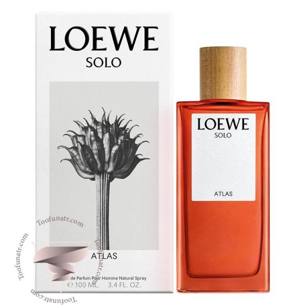 لووه لوئو سولو اطلس - Loewe Solo Atlas