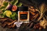 عطر مردانه لالیک امبر نویر در کنار نت های برگ انجیر، دارچین، صمغ مر، چوب سدر و تنباکو