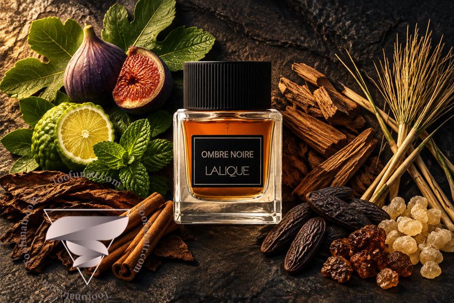 عطر مردانه لالیک امبر نویر در کنار نت های برگ انجیر، دارچین، صمغ مر، چوب سدر و تنباکو