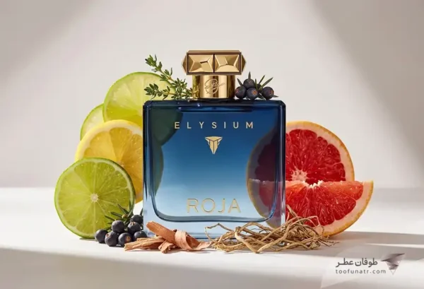عطر مردانه روژا داو الیزیوم پور هوم پارفوم کلون (کلن) - Roja Dove Elysium Pour Homme Parfum Cologne EDP
