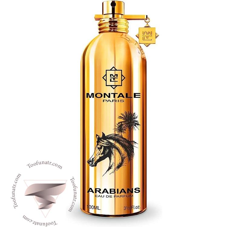 مونتال عربینز - Montale Arabians مونتال عربینز - Montale Arabians