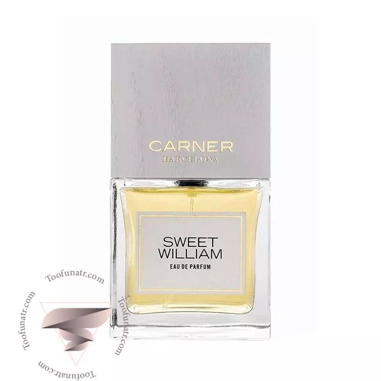 کارنر بارسلونا سوییت ویلیام - Carner Barcelona Sweet William کارنر بارسلونا سوییت ویلیام - Carner Barcelona Sweet William