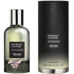 هوگو بوس د کالکشن ویگوروس کلن - Hugo Boss The Collection Vigorous Cologne