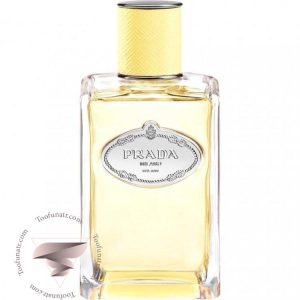 پرادا اینفیوژن د میموسا - Prada Infusion de Mimosa