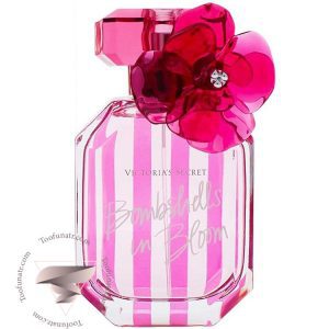 ویکتوریا سکرت بامب شلز این بلوم - Victoria Secret Bombshells in Bloom
