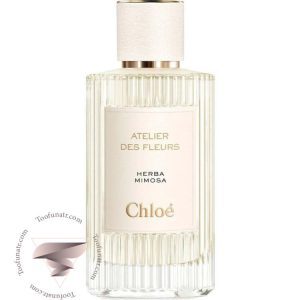 کلوهه هربا میموسا - Chloe Herba Mimosa