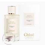 کلوهه مگنولیا آلبا - Chloe Magnolia Alba
