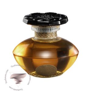 کارون نارسیس نویر - Caron Narcisse Noir