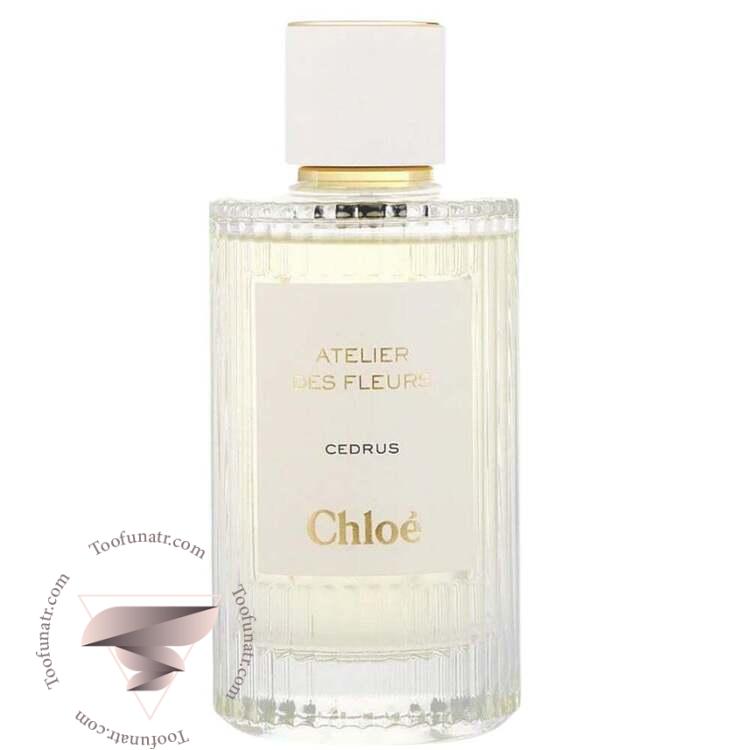 کلوهه سدروس - Chloe Cedrus کلوهه سدروس - Chloe Cedrus