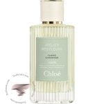 کلوهه یلانگ کانانگا - Chloe Ylang Cananga