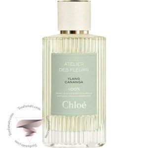 کلوهه یلانگ کانانگا - Chloe Ylang Cananga